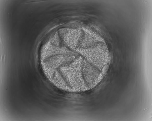 X0000088030339200706081506