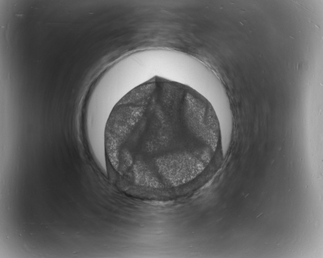 X0000088030340200706081506