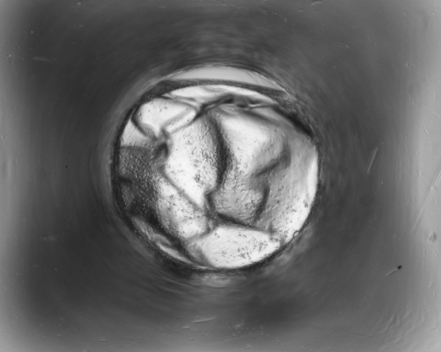 X0000088030341200706081506