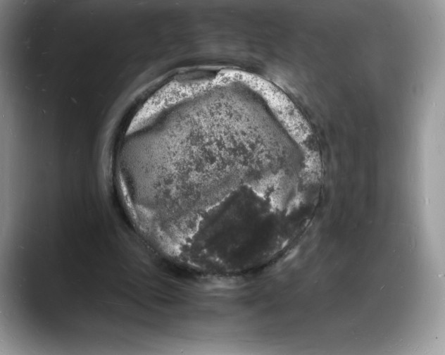X0000088030343200706081506