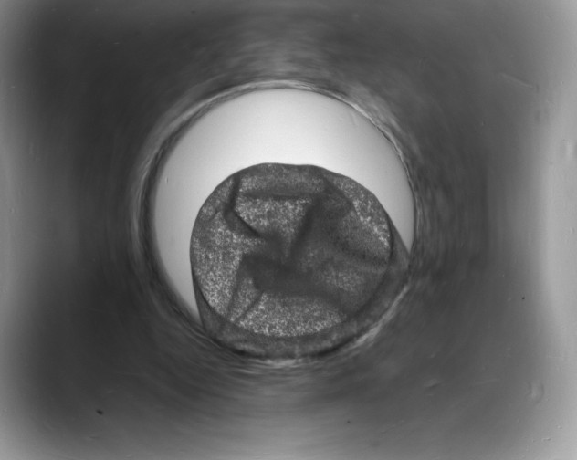 X0000088030344200706081506