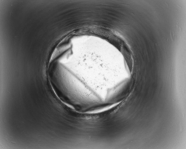 X0000088030345200706081506