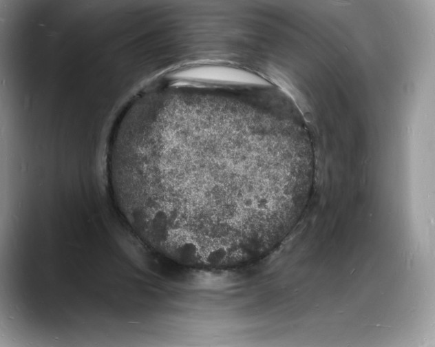 X0000088030346200706081506