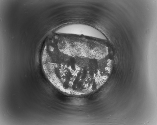X0000088030347200706081506