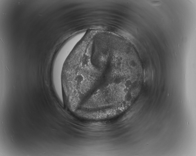 X0000088030349200706081506