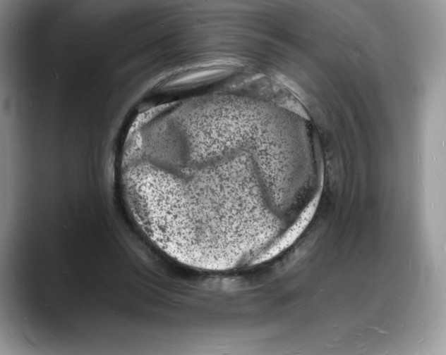 X0000088030350200706081506