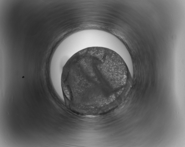 X0000088030352200706081506
