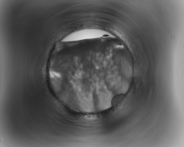 X0000088030353200706081506