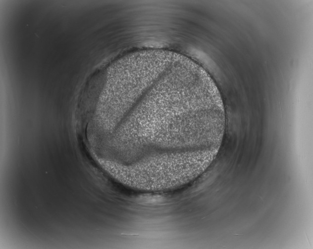 X0000088030354200706081506