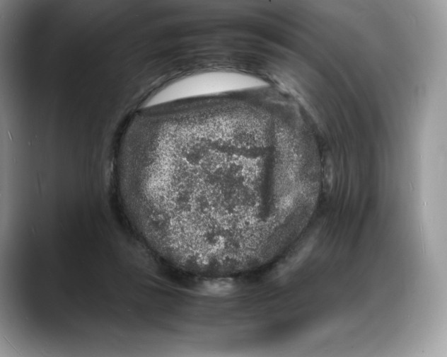 X0000088030355200706081506