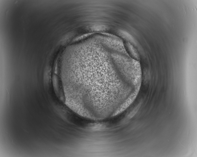 X0000088030356200706081506