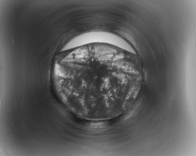 X0000088030357200706081506