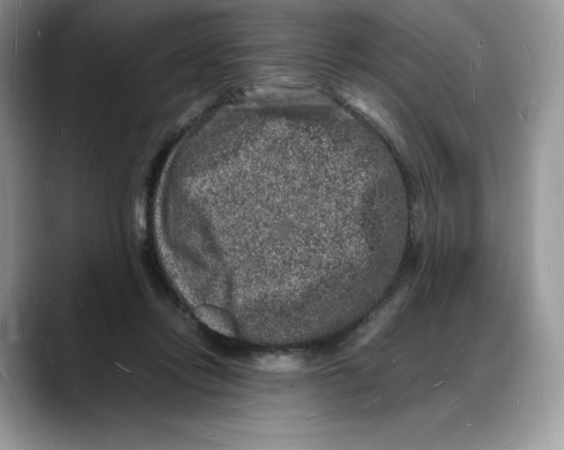 X0000088030358200706081506