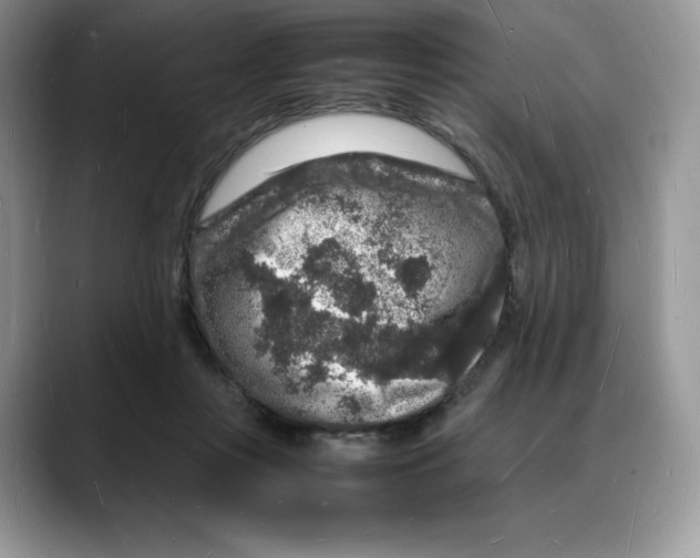 X0000088030359200706081506