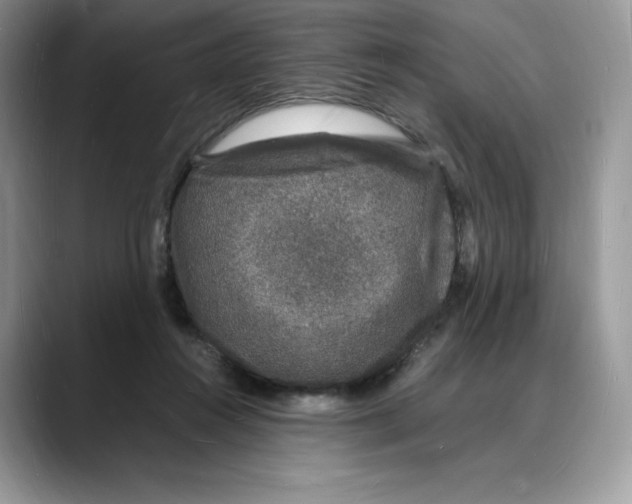 X0000088030360200706081506