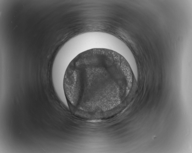 X0000088030362200706081506