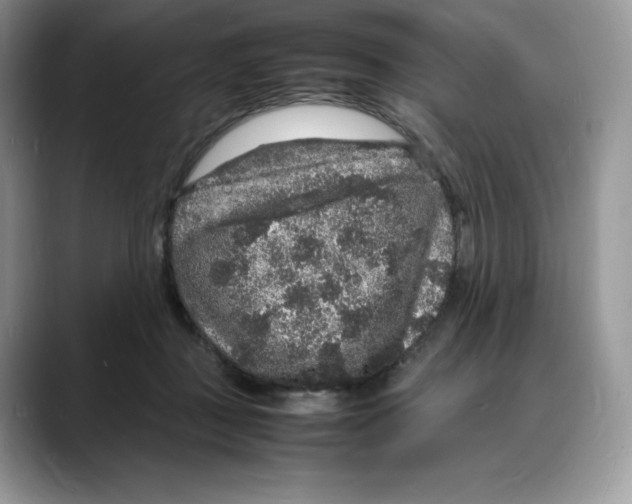 X0000088030363200706081506