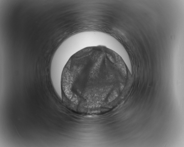 X0000088030364200706081506