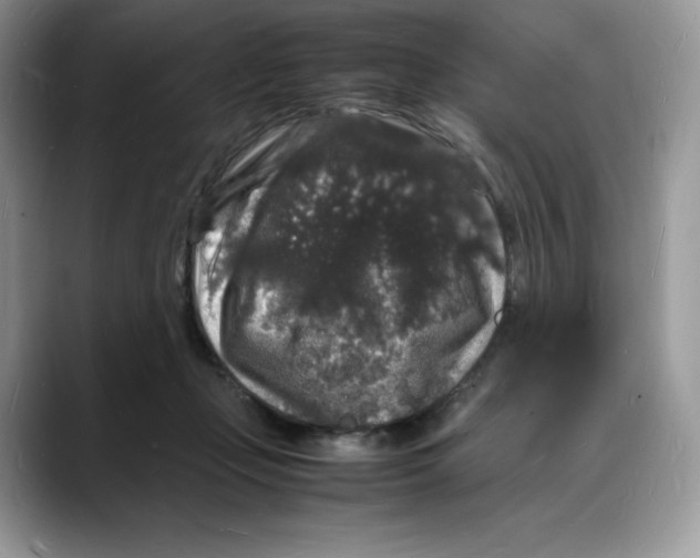 X0000088030365200706081506