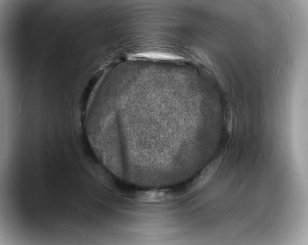 X0000088030366200706081506