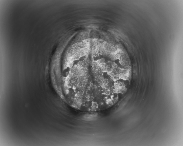 X0000088030369200706081506