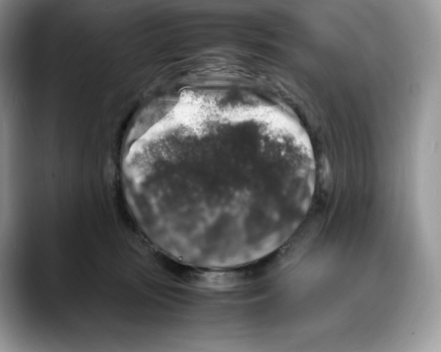 X0000088030371200706081506