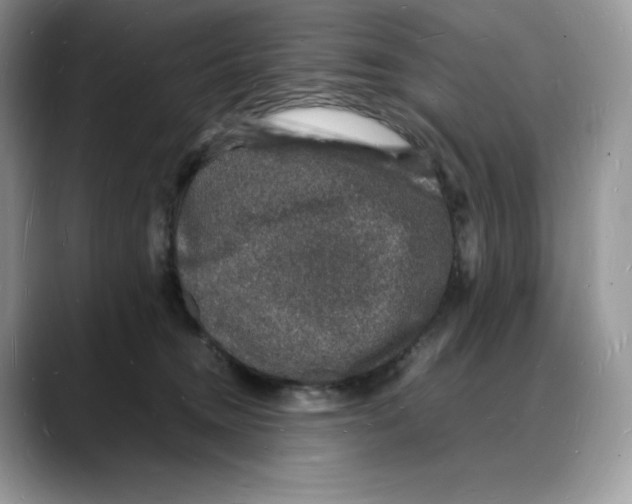 X0000088030372200706081506
