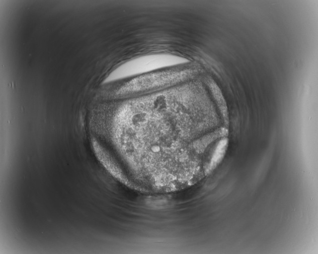 X0000088030373200706081506