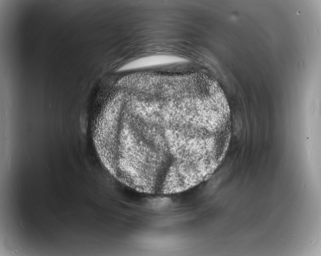 X0000088030374200706081506