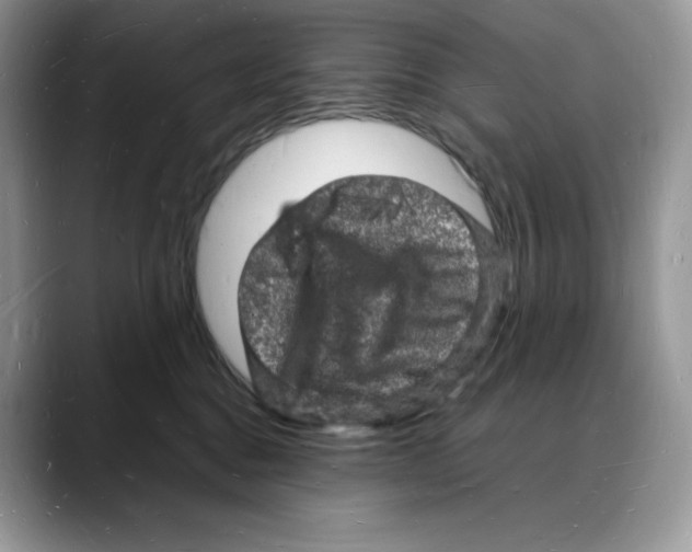 X0000088030376200706081506
