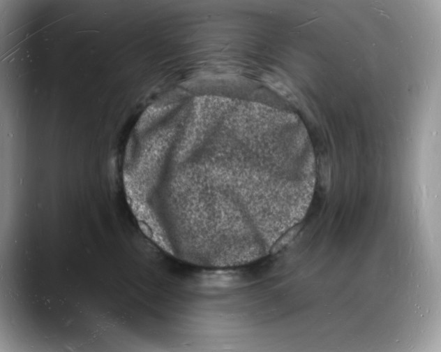 X0000088030378200706081506