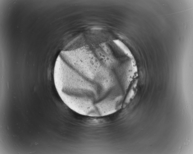 X0000088030379200706081506