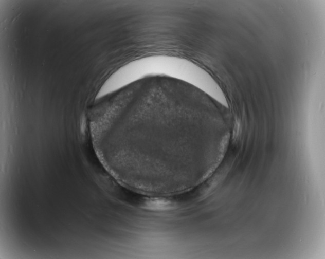 X0000088030380200706081506