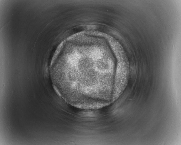 X0000088030381200706081506