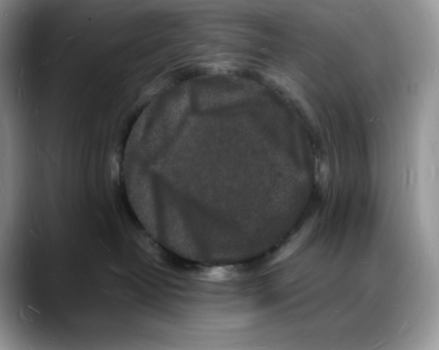 X0000088030382200706081506
