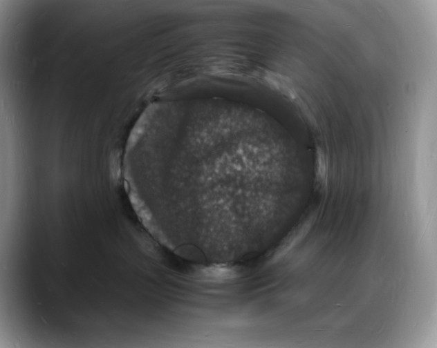 X0000088030383200706081506