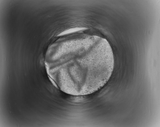 X0000088030384200706081506