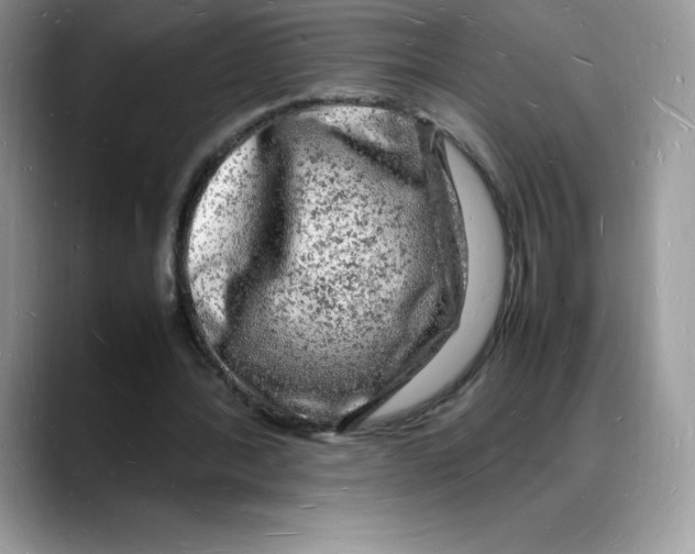 X0000088030388200706081506