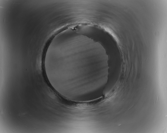 X0000088030391200706081506