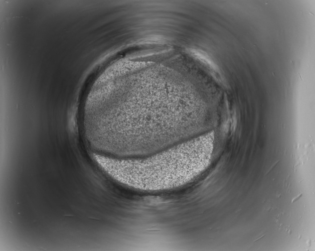 X0000088030392200706081506