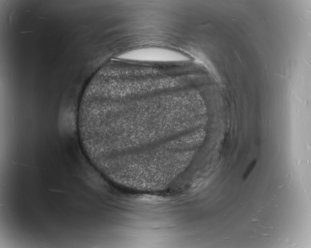 X0000088030393200706081506