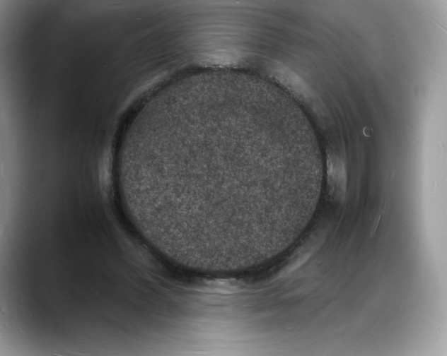 X0000088030396200706081505