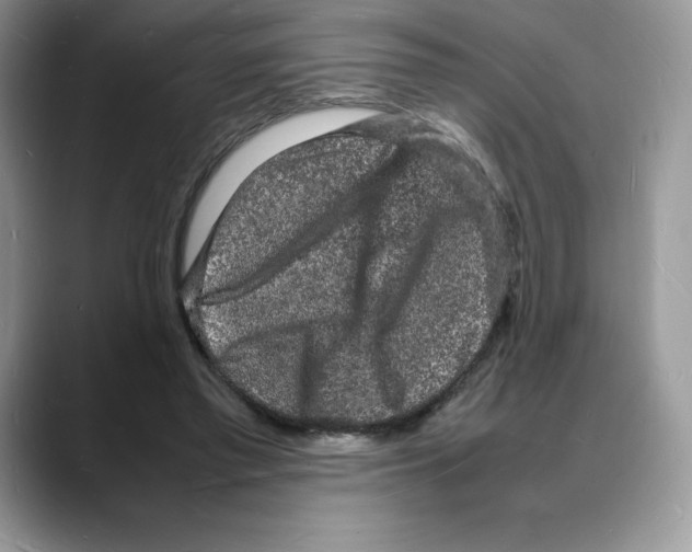 X0000088030397200706081505