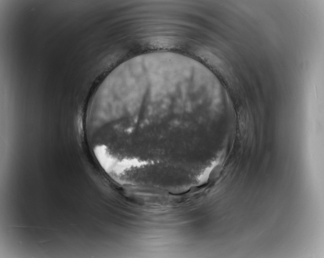 X0000088030398200706081505