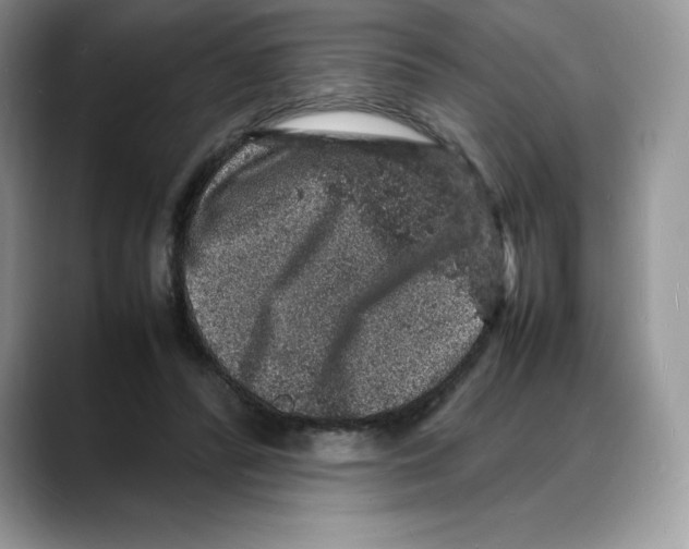 X0000088030400200706081505