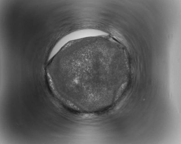 X0000088030401200706081505