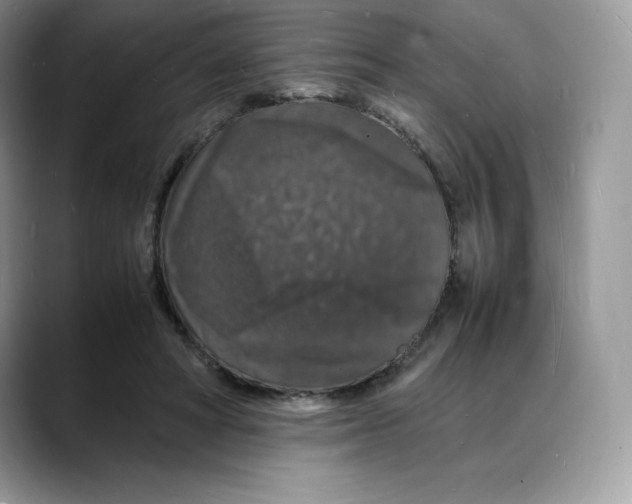 X0000088030402200706081505