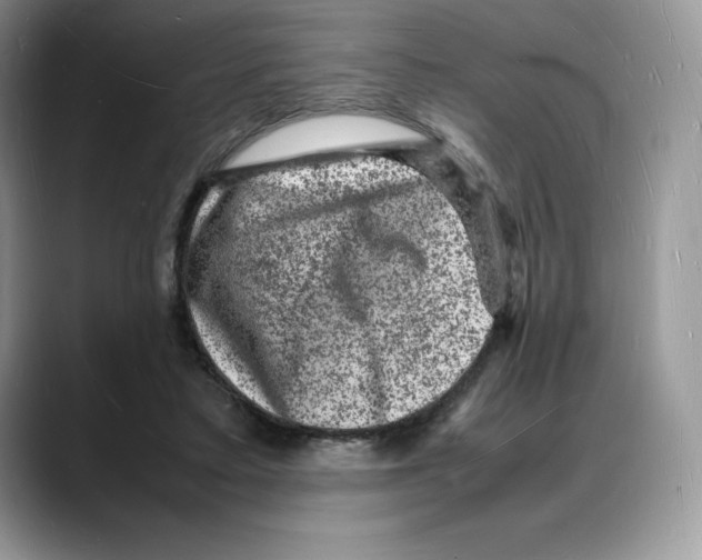 X0000088030403200706081505