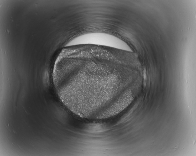 X0000088030404200706081505