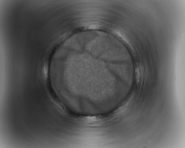 X0000088030406200706081505